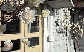 Apartament Vintage